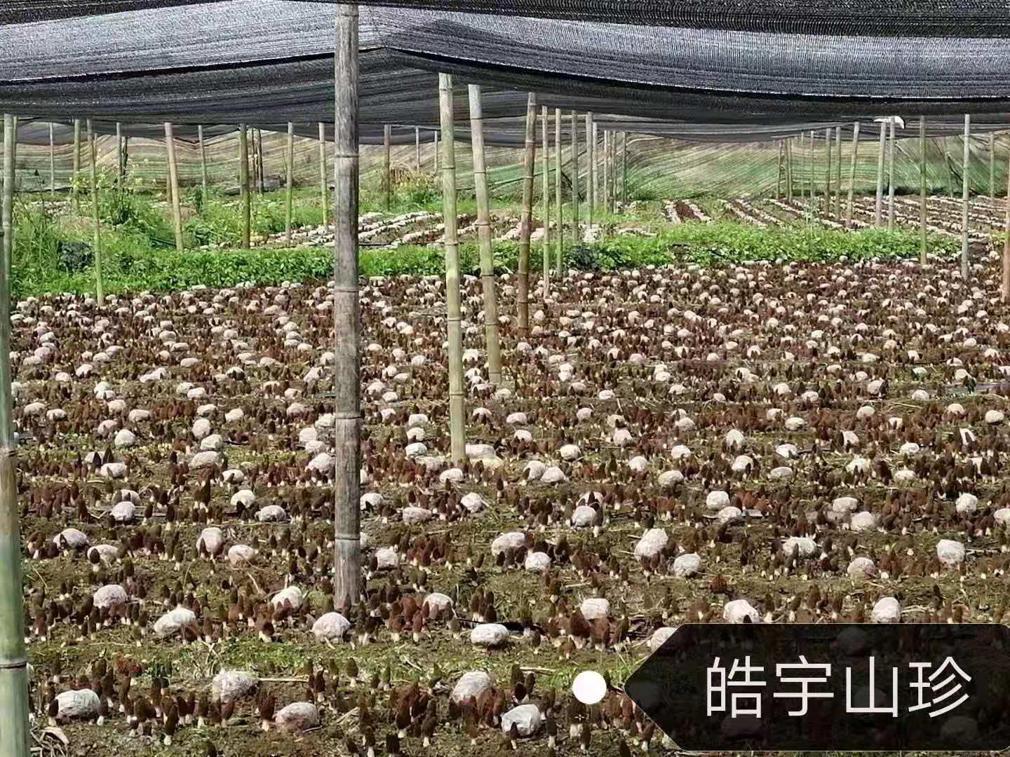 &#20061;&#24030;&#32593;&#39029;&#29256;&#45;&#20061;&#24030;&#40;&#20013;&#22269;&#41;&#95;&#20061;&#24030;&#40;&#20013;&#22269;&#41;