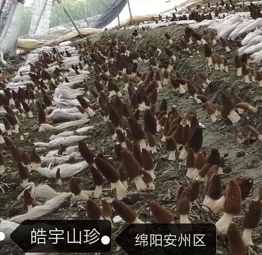 &#20061;&#24030;&#32593;&#39029;&#29256;&#45;&#20061;&#24030;&#40;&#20013;&#22269;&#41;&#95;&#20061;&#24030;&#40;&#20013;&#22269;&#41;