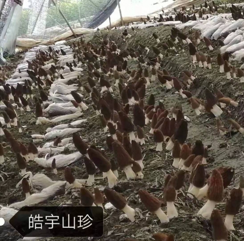 &#20061;&#24030;&#32593;&#39029;&#29256;&#45;&#20061;&#24030;&#40;&#20013;&#22269;&#41;&#95;&#20061;&#24030;&#40;&#20013;&#22269;&#41;