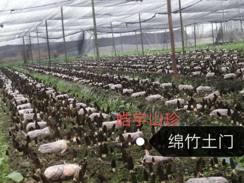 &#20061;&#24030;&#32593;&#39029;&#29256;&#45;&#20061;&#24030;&#40;&#20013;&#22269;&#41;&#95;&#20061;&#24030;&#40;&#20013;&#22269;&#41;