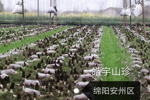 &#20061;&#24030;&#32593;&#39029;&#29256;&#45;&#20061;&#24030;&#40;&#20013;&#22269;&#41;&#95;&#20061;&#24030;&#40;&#20013;&#22269;&#41;