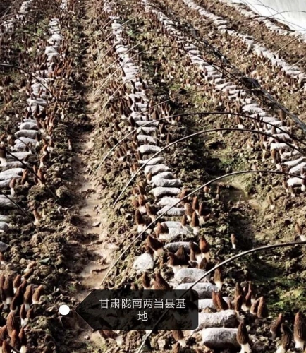 &#20061;&#24030;&#32593;&#39029;&#29256;&#45;&#20061;&#24030;&#40;&#20013;&#22269;&#41;&#95;&#20061;&#24030;&#40;&#20013;&#22269;&#41;