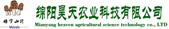 &#20061;&#24030;&#32593;&#39029;&#29256;&#45;&#20061;&#24030;&#40;&#20013;&#22269;&#41;&#95;&#20061;&#24030;&#40;&#20013;&#22269;&#41;