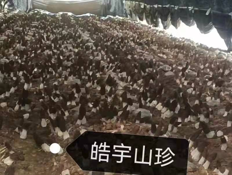 &#20061;&#24030;&#32593;&#39029;&#29256;&#45;&#20061;&#24030;&#40;&#20013;&#22269;&#41;&#95;&#20061;&#24030;&#40;&#20013;&#22269;&#41;