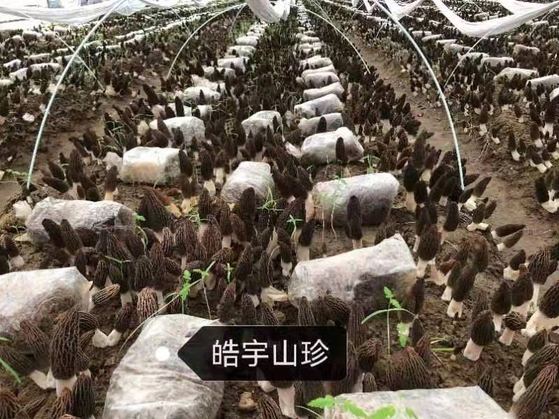 &#20061;&#24030;&#32593;&#39029;&#29256;&#45;&#20061;&#24030;&#40;&#20013;&#22269;&#41;&#95;&#20061;&#24030;&#40;&#20013;&#22269;&#41;