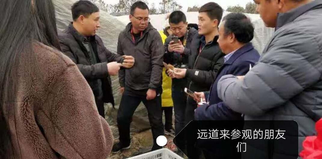 &#20061;&#24030;&#32593;&#39029;&#29256;&#45;&#20061;&#24030;&#40;&#20013;&#22269;&#41;&#95;&#20061;&#24030;&#40;&#20013;&#22269;&#41;