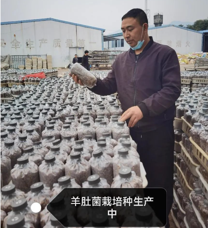 &#20061;&#24030;&#32593;&#39029;&#29256;&#45;&#20061;&#24030;&#40;&#20013;&#22269;&#41;&#95;&#20061;&#24030;&#40;&#20013;&#22269;&#41;